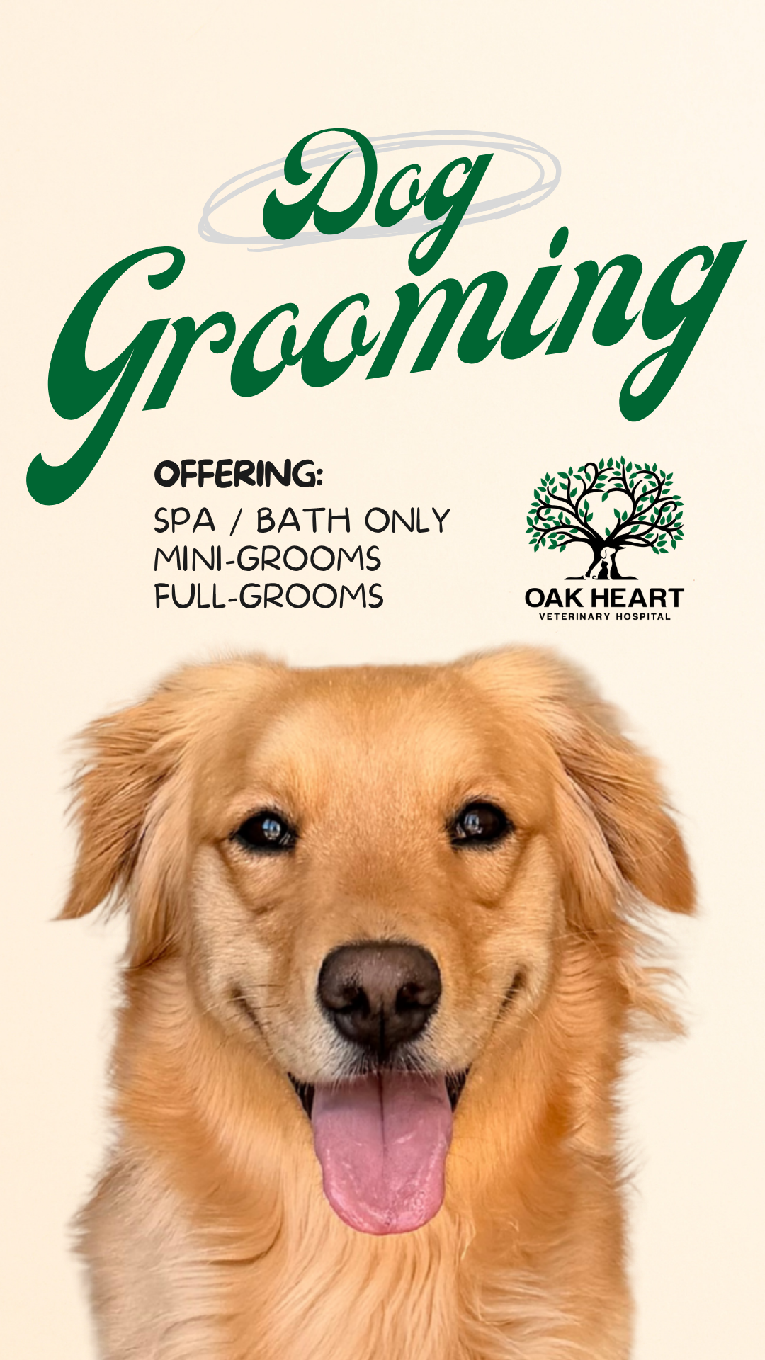 Oak Heart Veterinary Hospital Facebook ad
