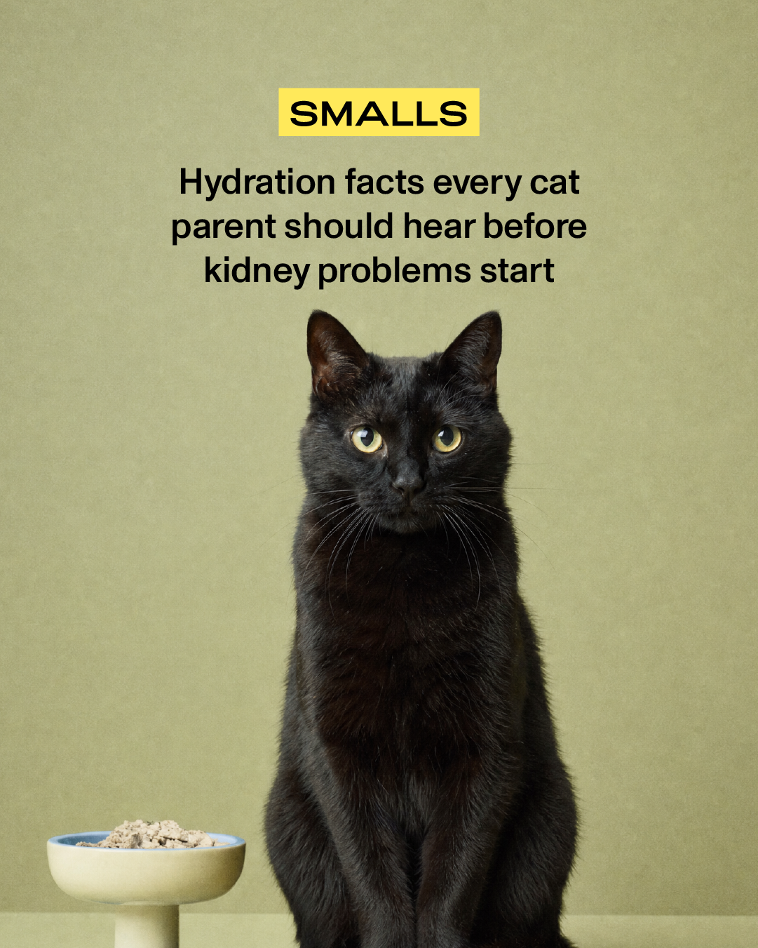 Smalls Facebook ad