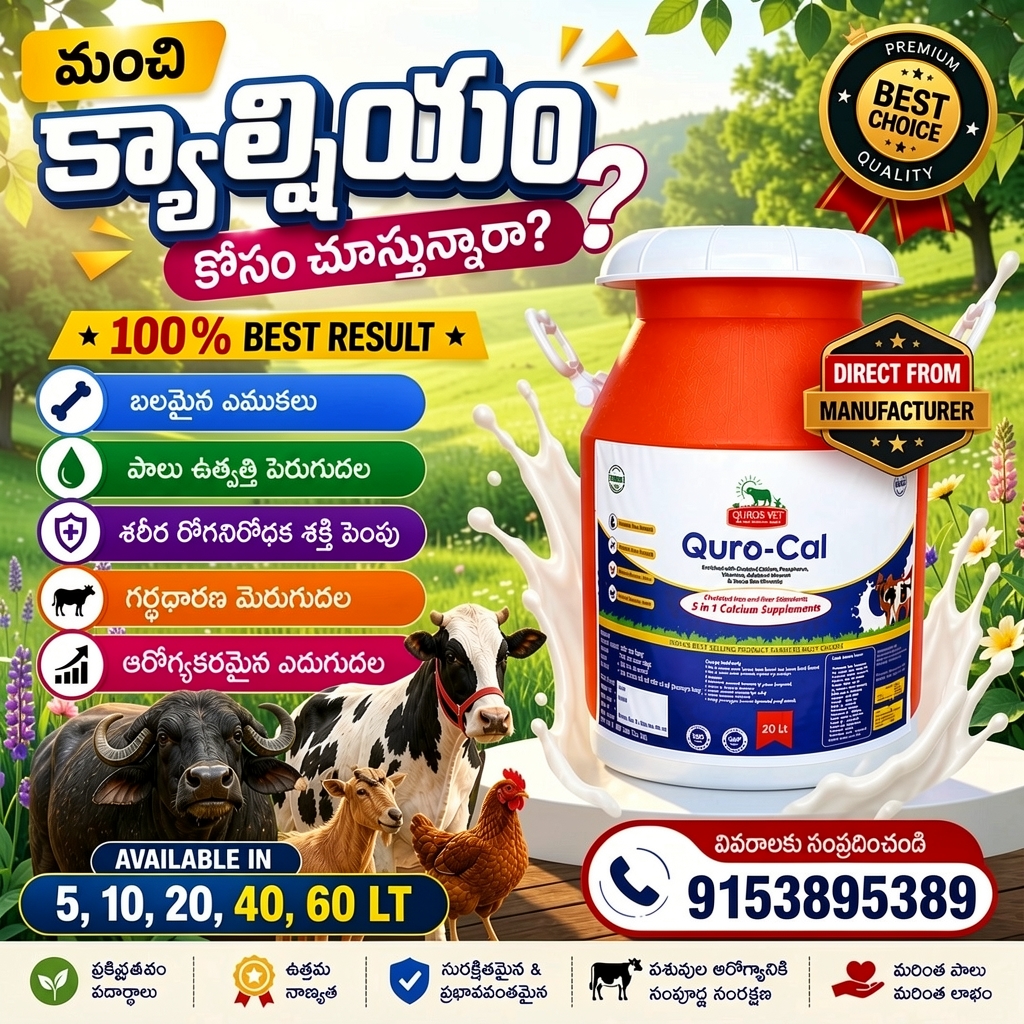 Qurosaqua Facebook ad: Chat with us