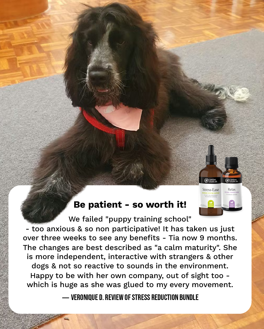 CanineCeuticals Facebook ad