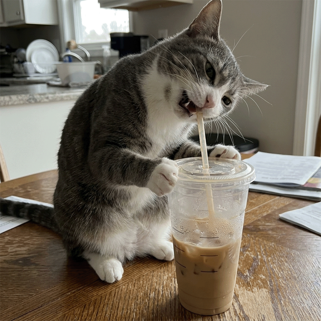 Cat Wellness Journal Facebook ad