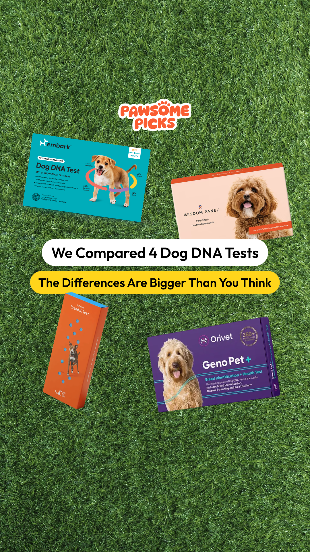 Pawsome Picks Facebook ad