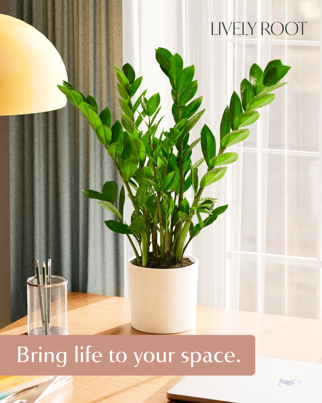 Lively Root Facebook ad