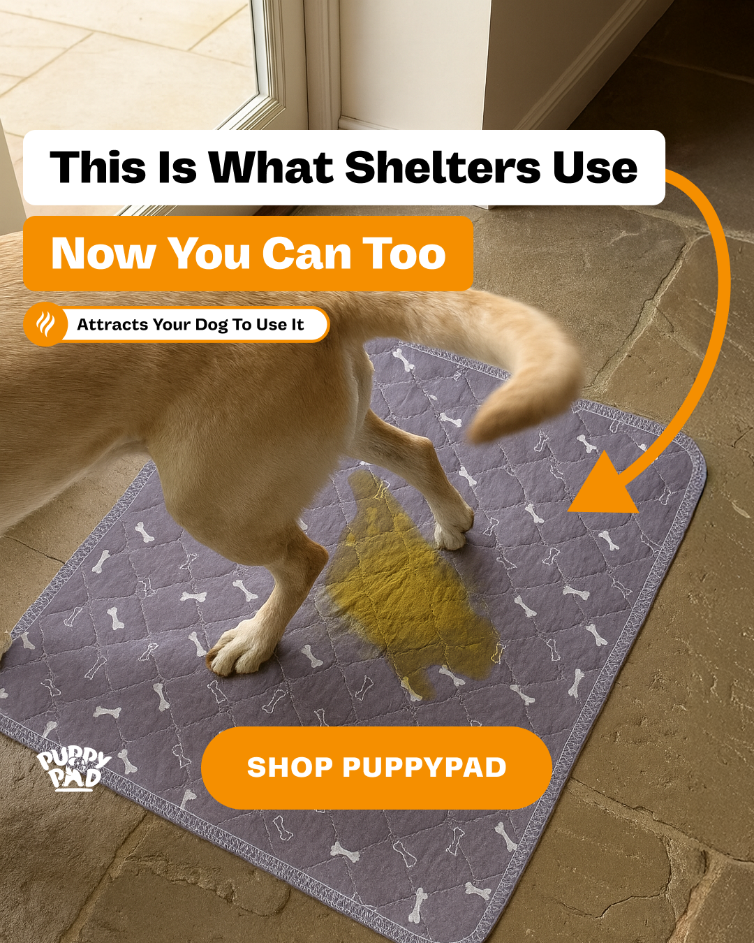 PuppyPad Facebook ad