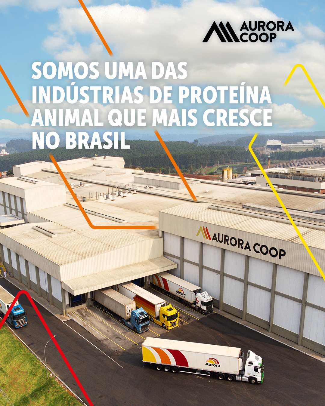 Aurora Coop Facebook ad: Somos feitos por tecnologia, inovação e pessoas que…