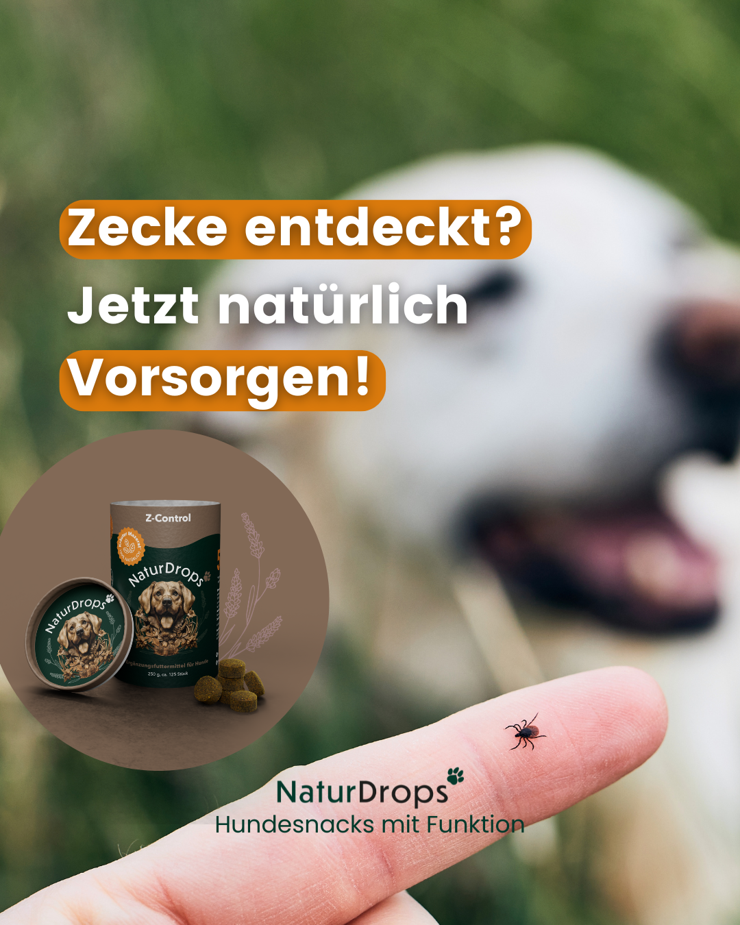 NaturDrops Facebook ad from Jun 17, 2026