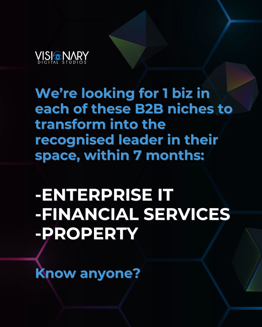 Visionary Digital Studios - B2B-specialised Marketing Facebook ad