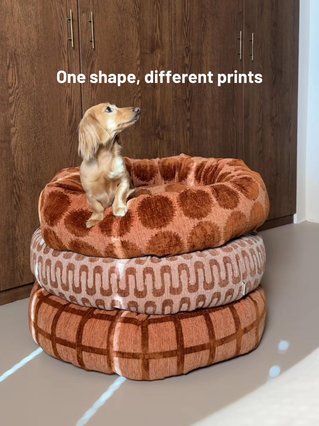 Dogguo Facebook ad: Interior Proof Dog Brand