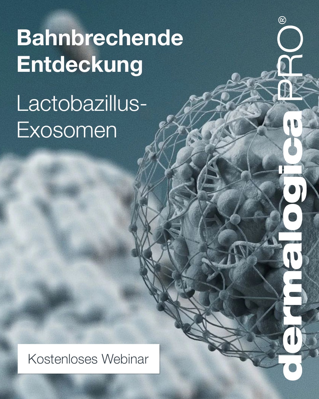 Dermalogica Pro Deutschland Facebook ad