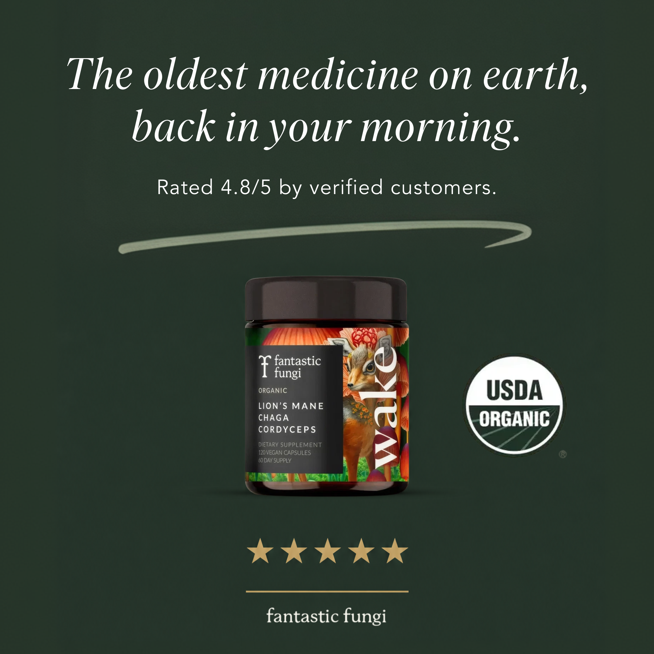 Fantastic Fungi Facebook ad