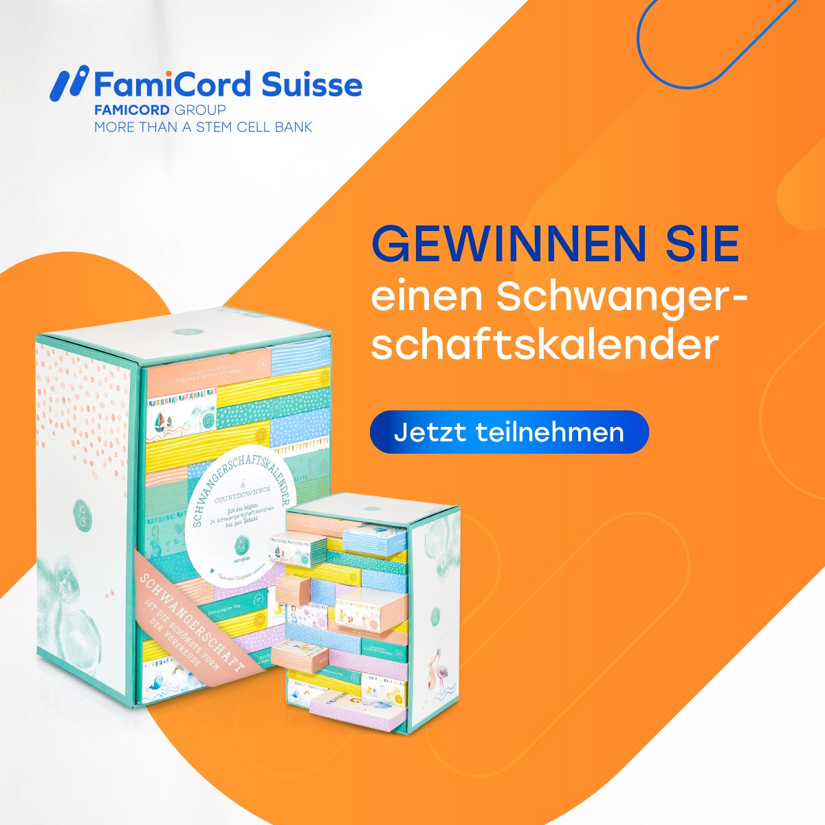 FamiCord CH Facebook ad
