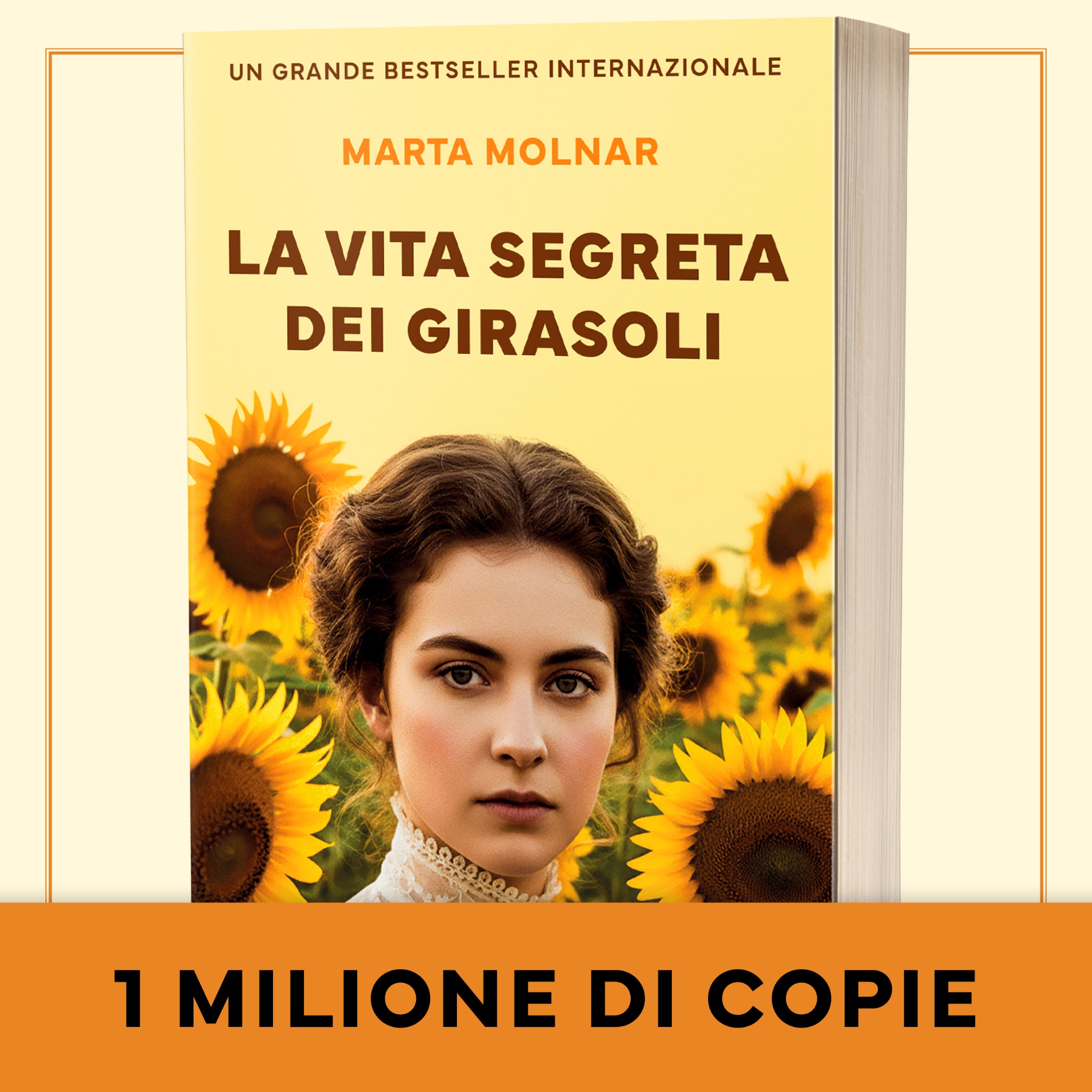 La vita segreta dei girasoli Facebook ad