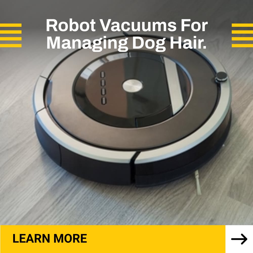 Quest Junction Insights Facebook ad: Robot Vacuums Mops!
