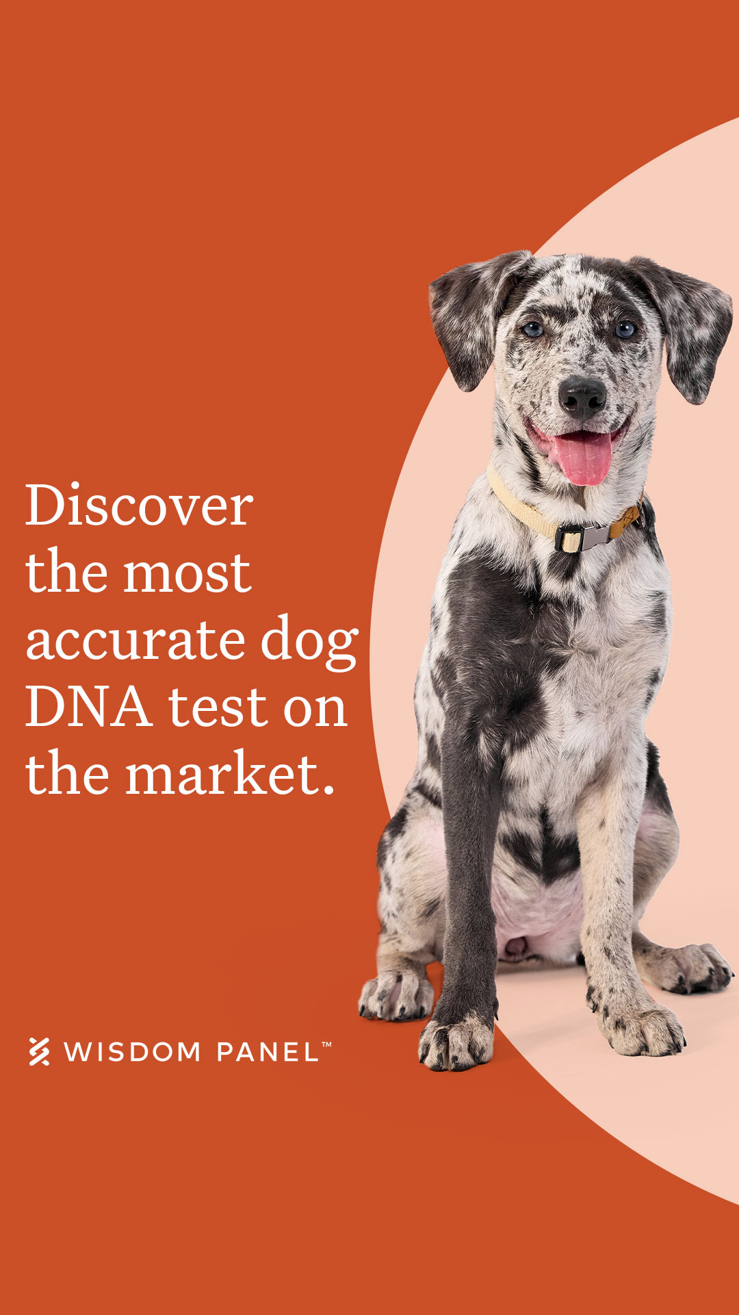 Wisdom Panel Facebook ad