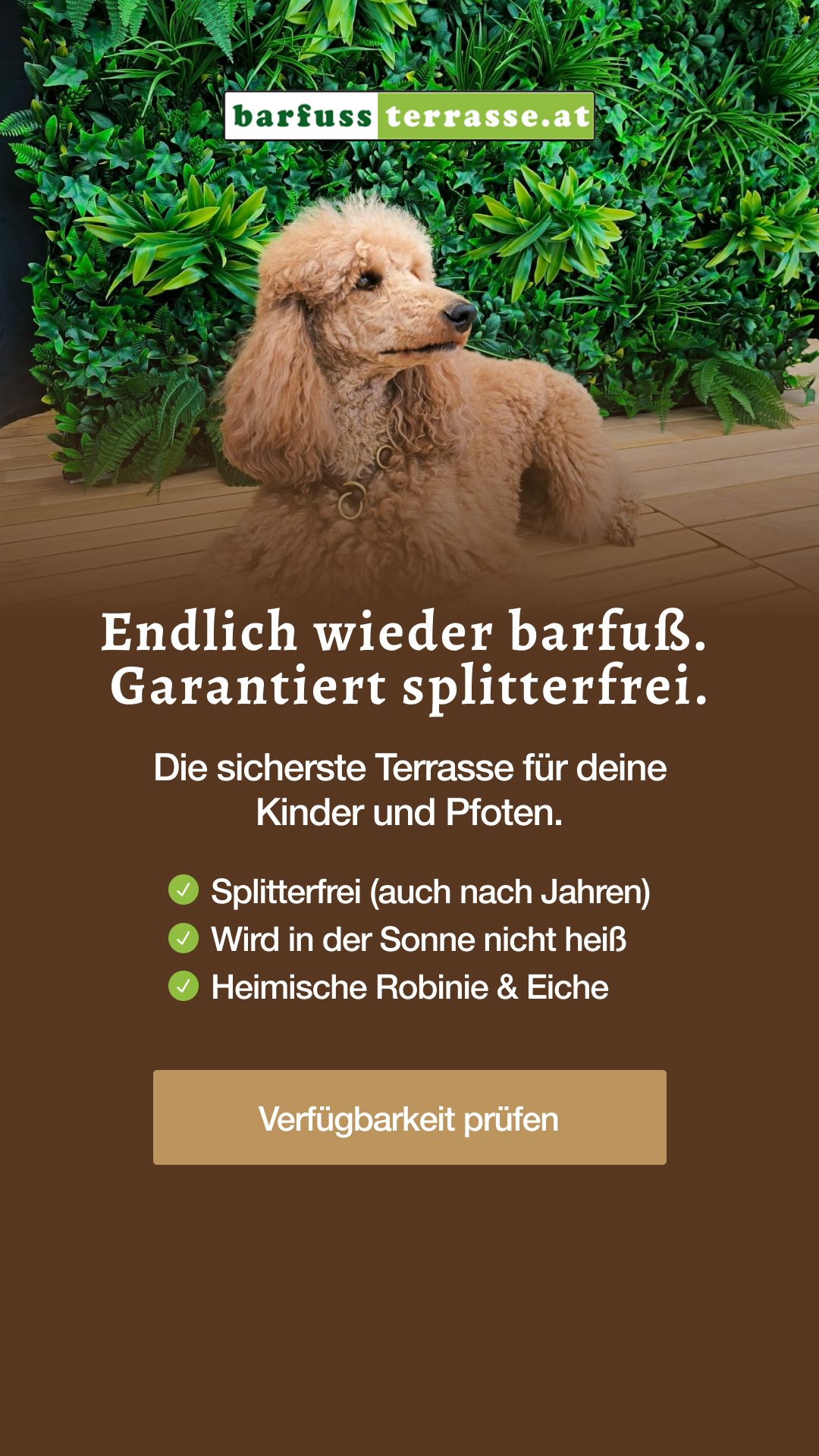 Fassold Sägewerk und Holzhandels GesmbH Facebook ad