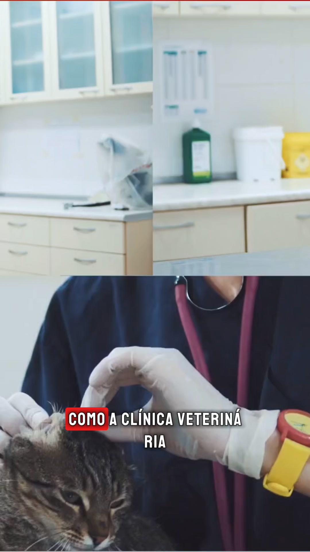 Assessoria Norte Facebook ad: Mais agendamentos para sua clínica veterinária