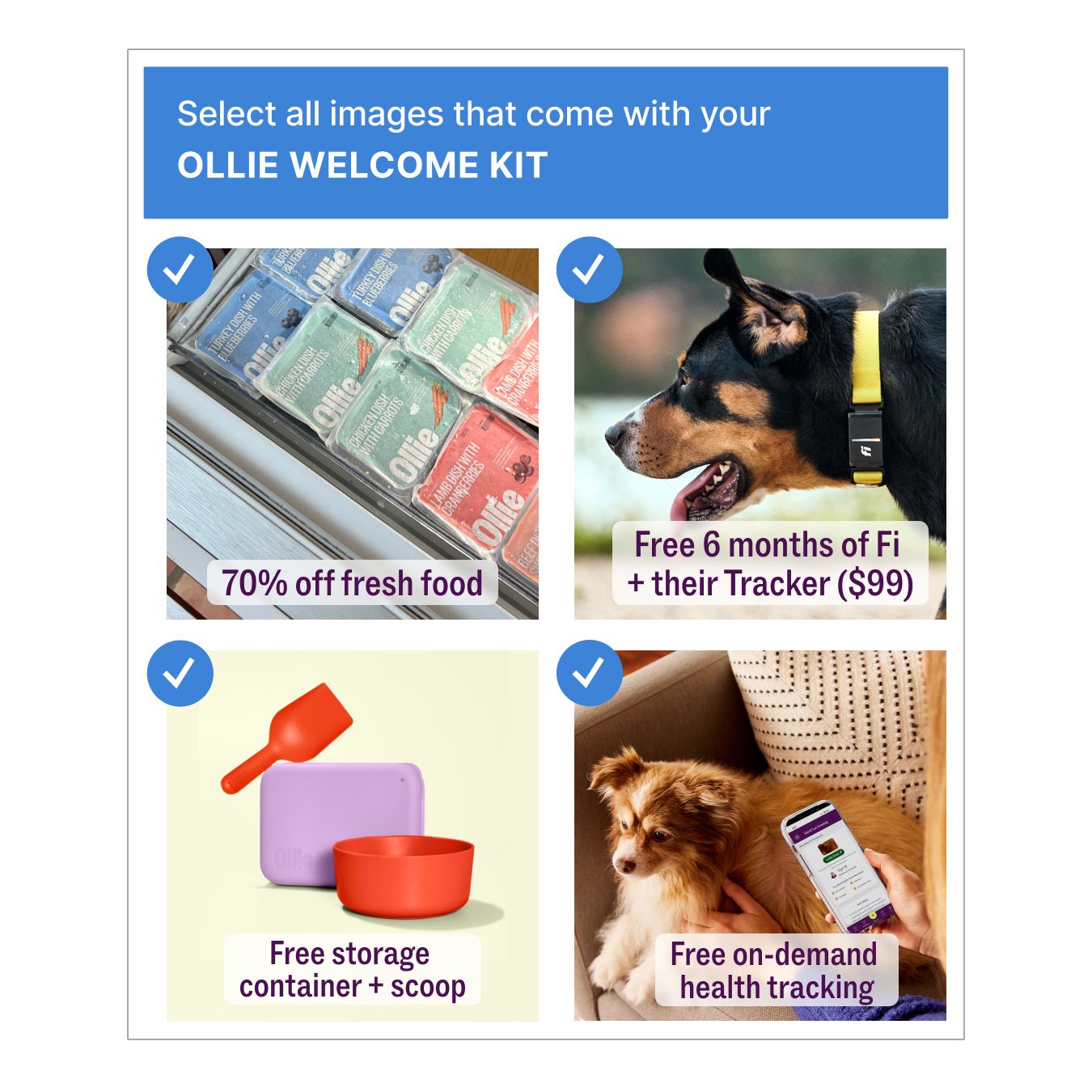 Ollie Facebook ad