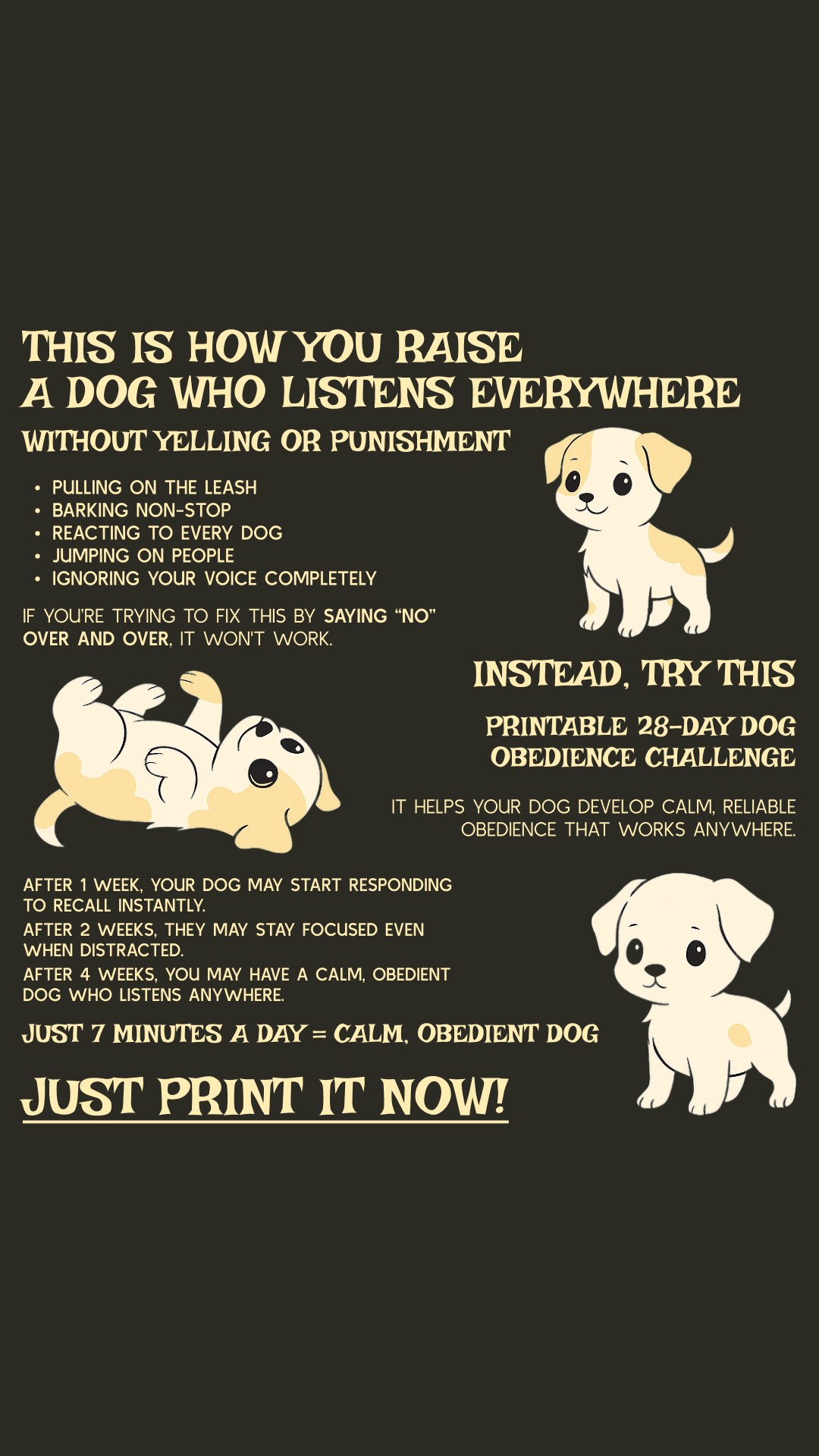 28 Day Dog Obedience Challenge Facebook ad