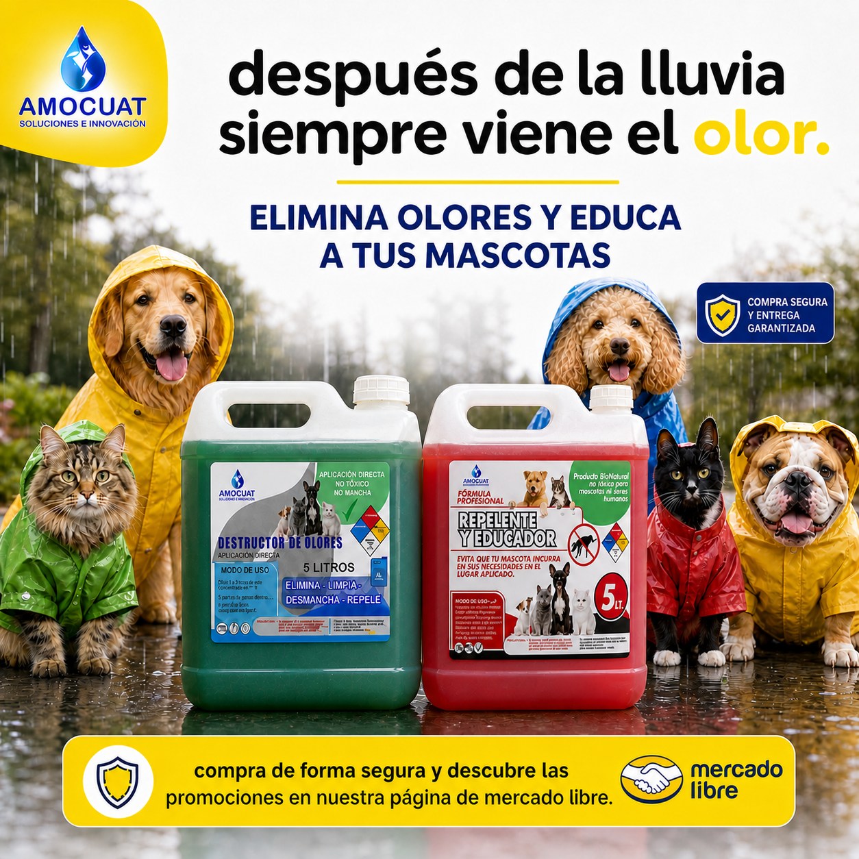 Amocuat ventas Facebook ad: AMOCUATCHILE en Mercado Libre