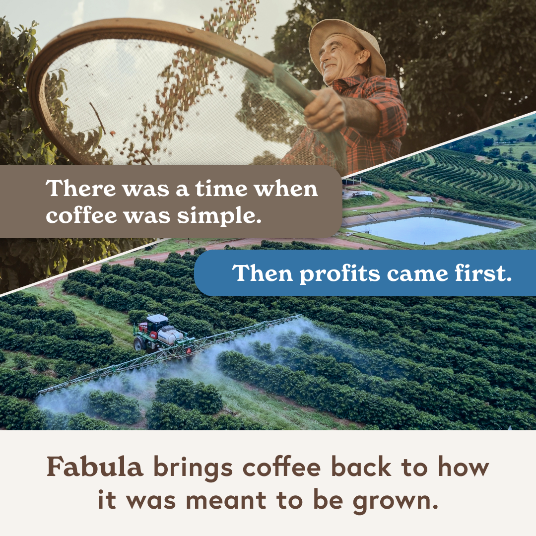 Fabula Coffee Facebook ad