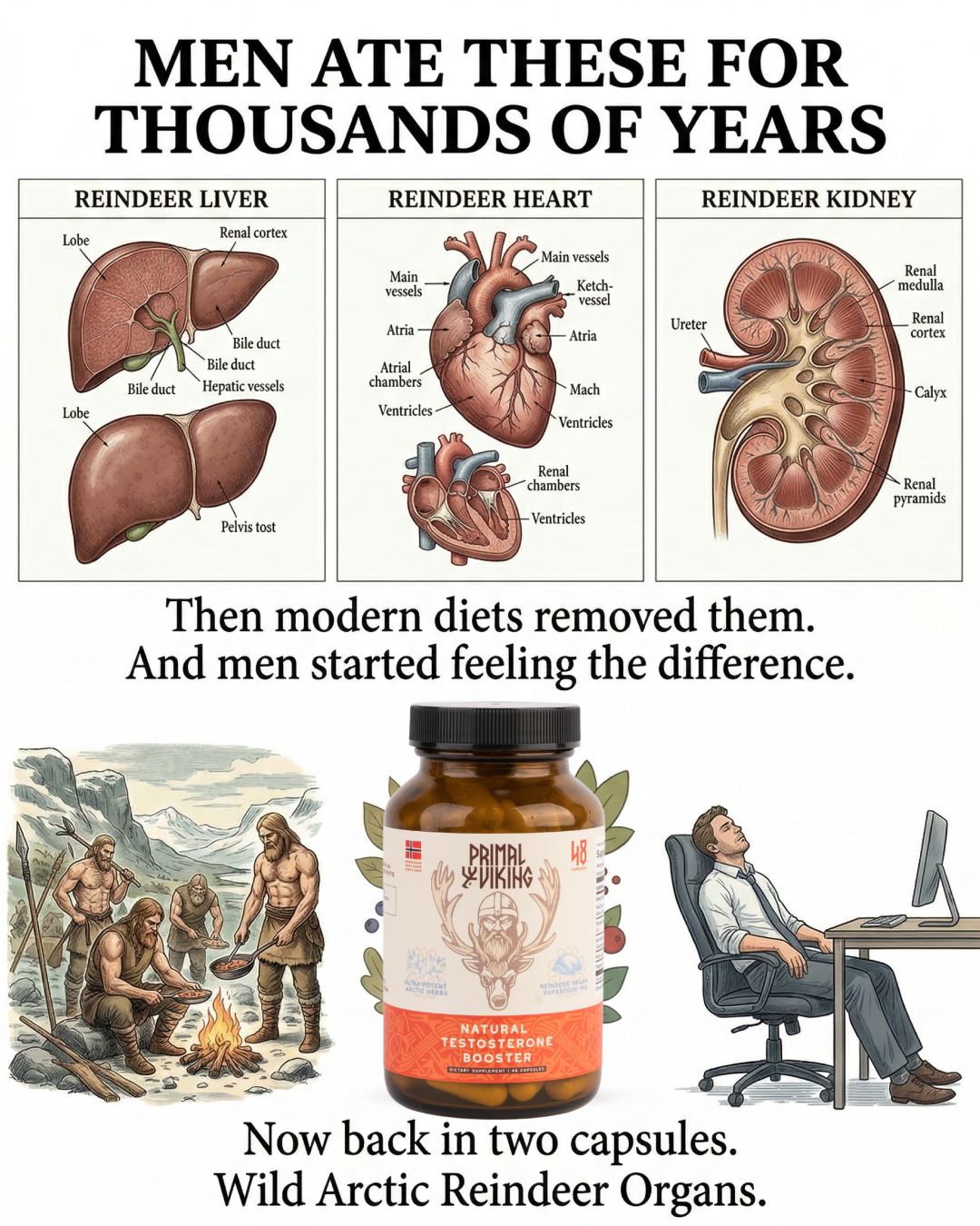 Primal Viking Facebook ad