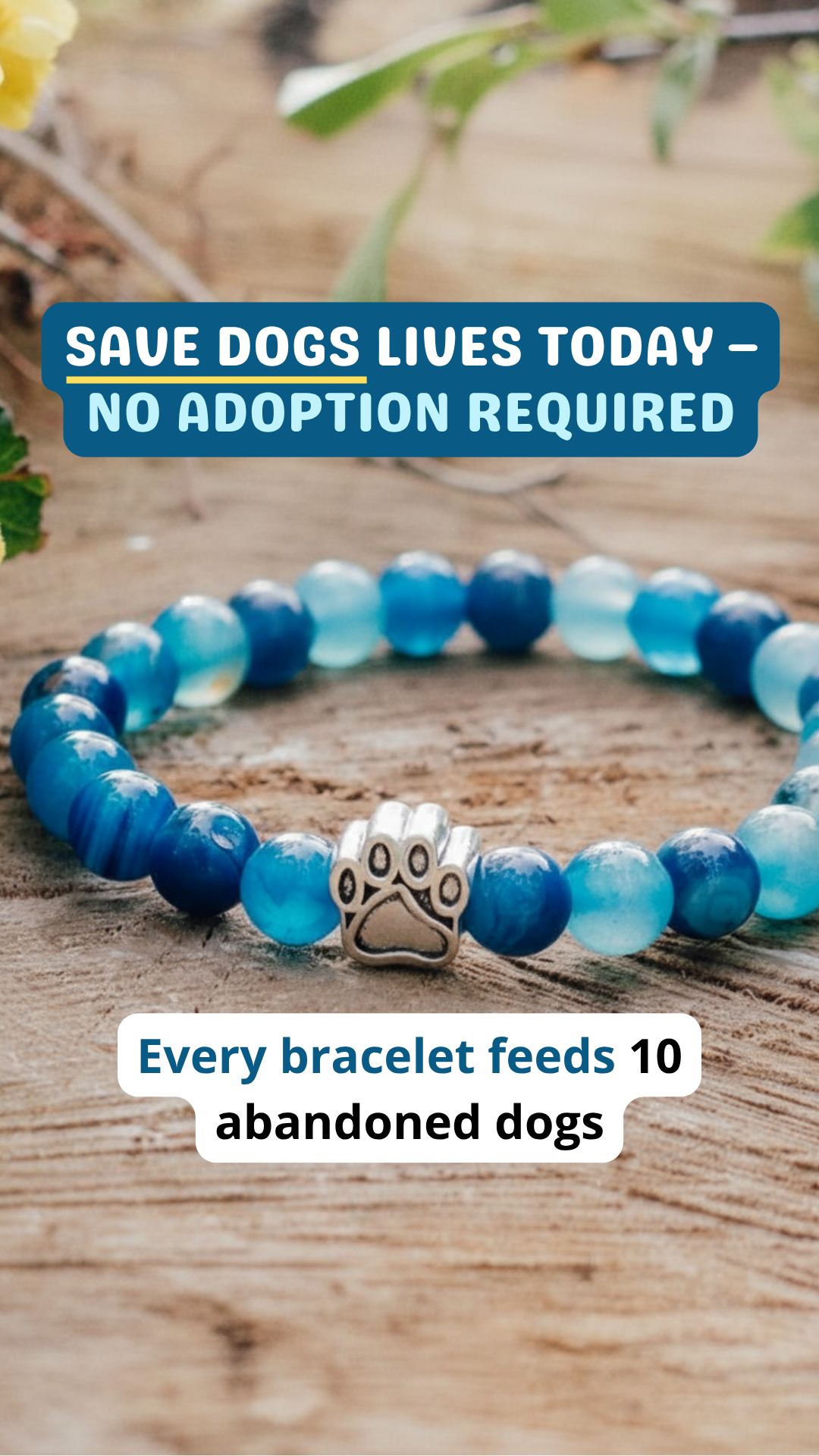 Rescue Paws Facebook ad