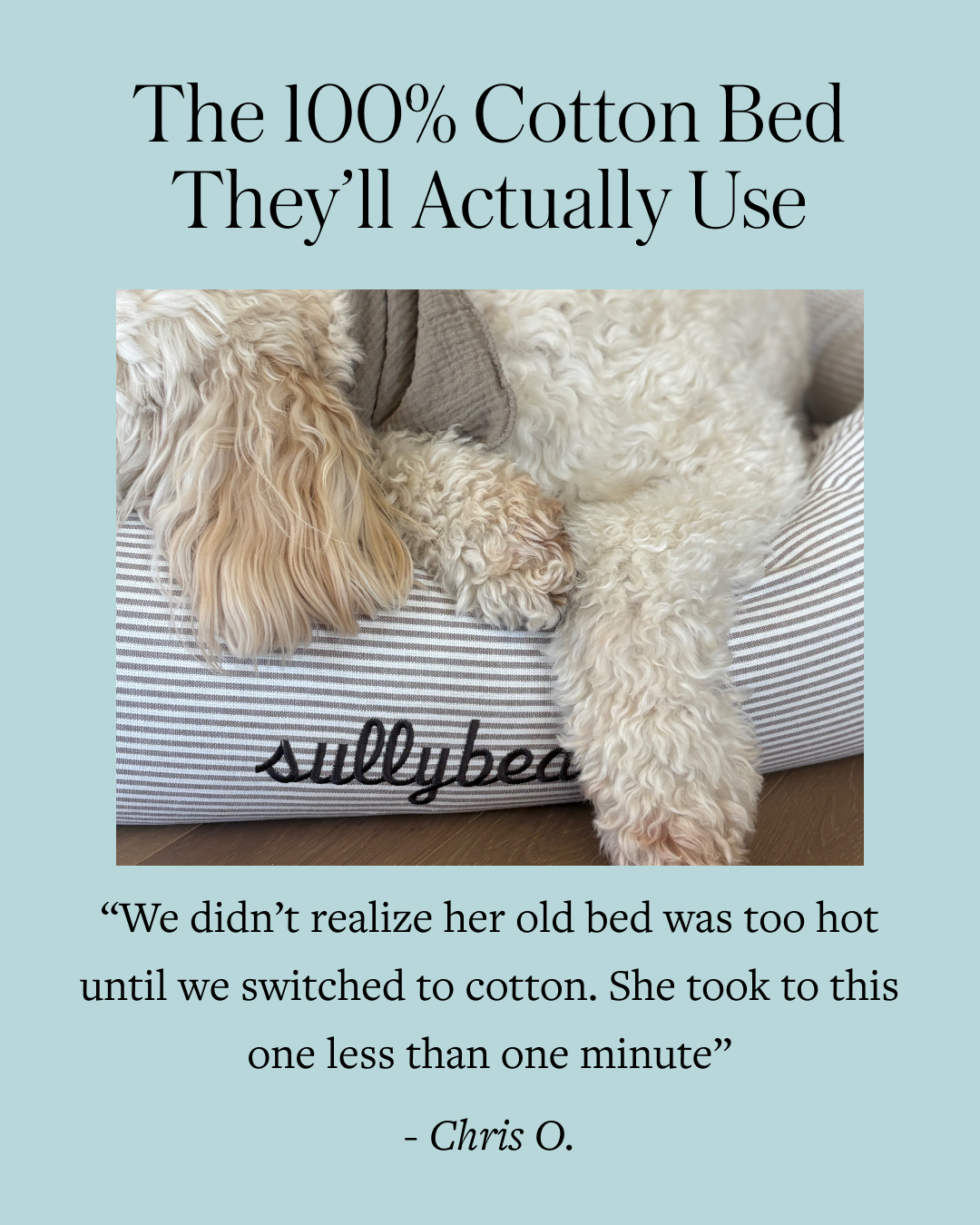 The Foggy Dog Facebook ad