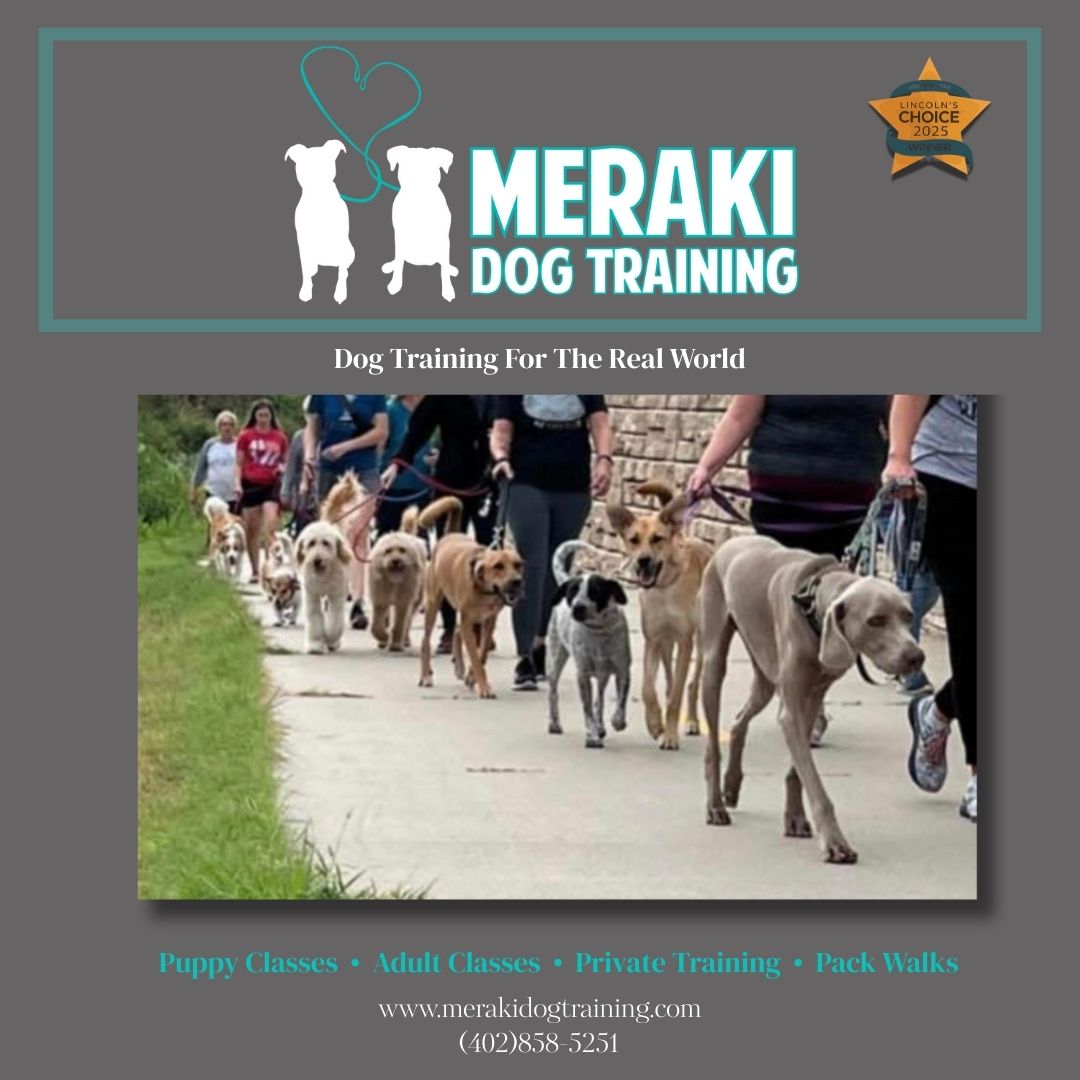 Meraki Dog Training Facebook ad: Meraki Dog Training: Real-World Results for Real-Life Dogs