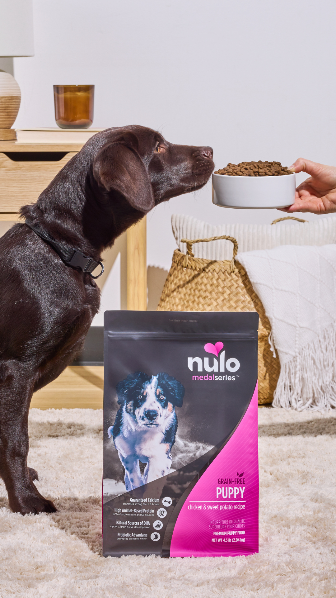 Petco Facebook ad