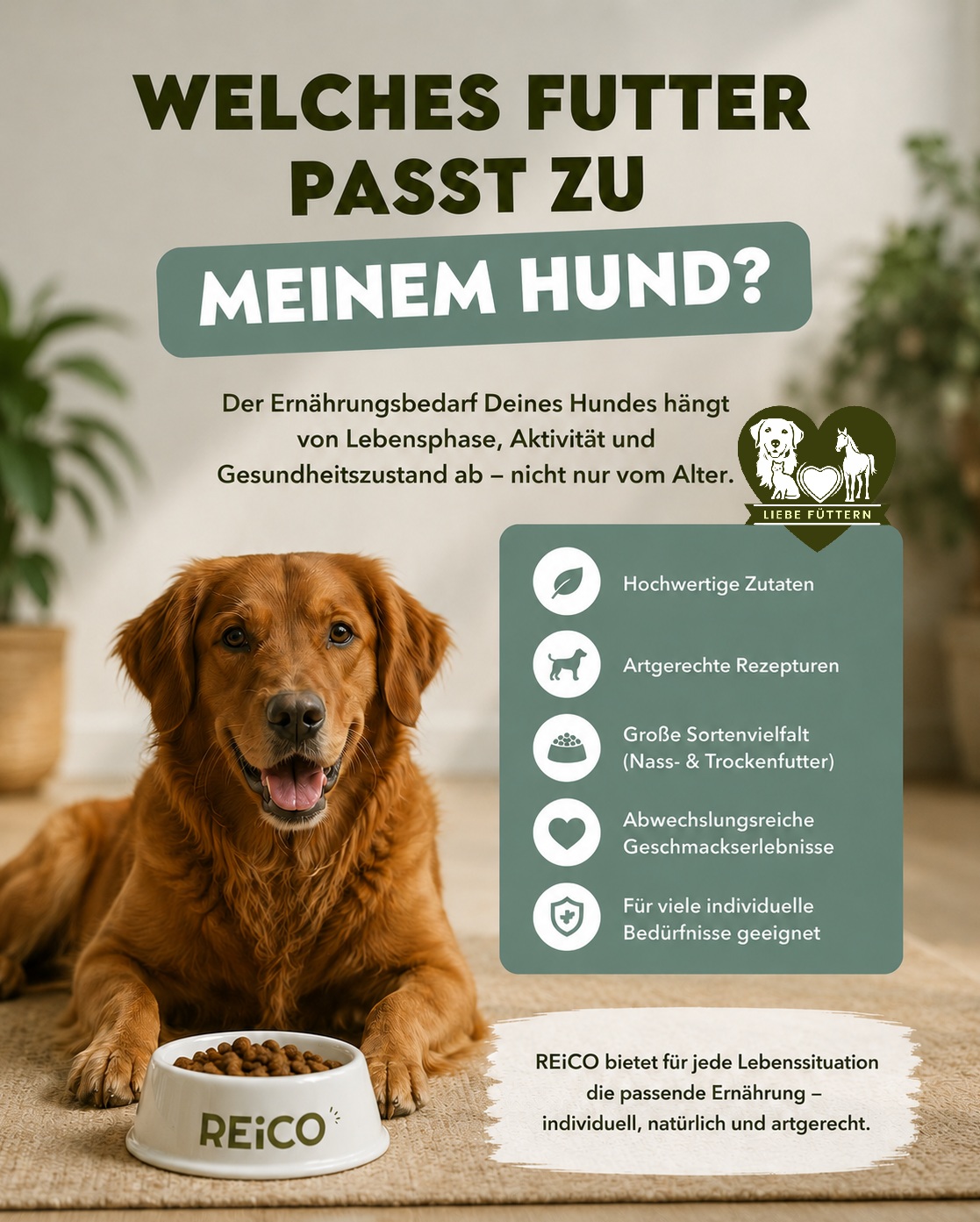 Reico Partner Liebe Füttern Facebook ad: Futter für Deinen Hund
