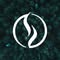 Salus Saunas Wellness
