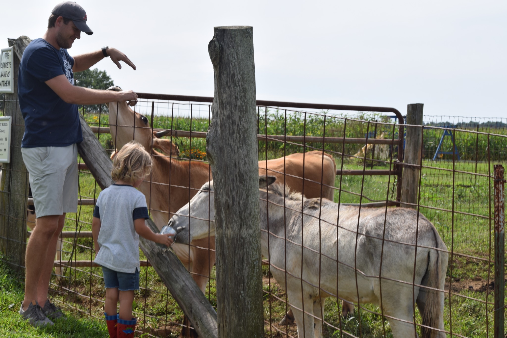 Christian Way Farm, LLC Facebook ad
