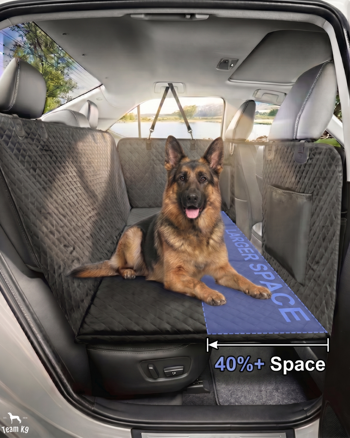 Team K9 Facebook ad