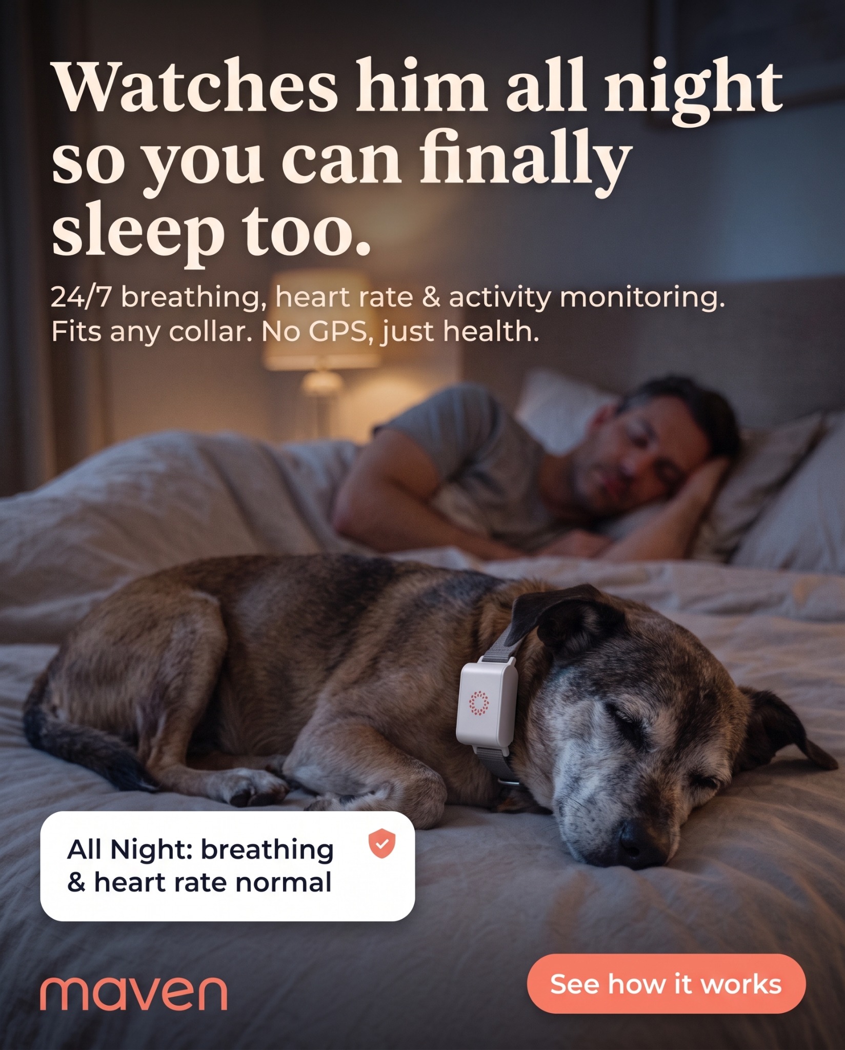 Maven Pet Facebook ad