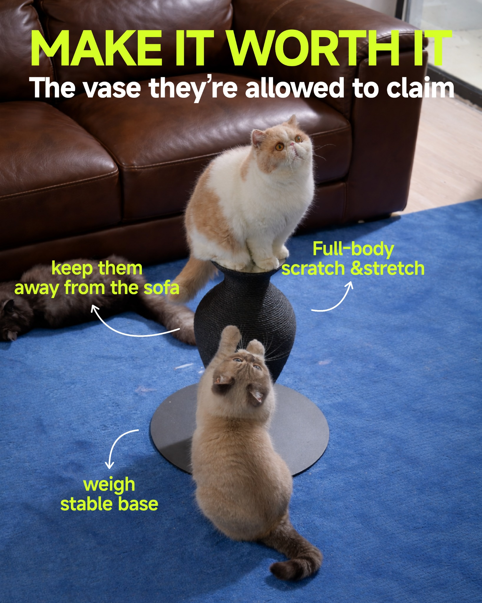 Furrytail_us Facebook ad
