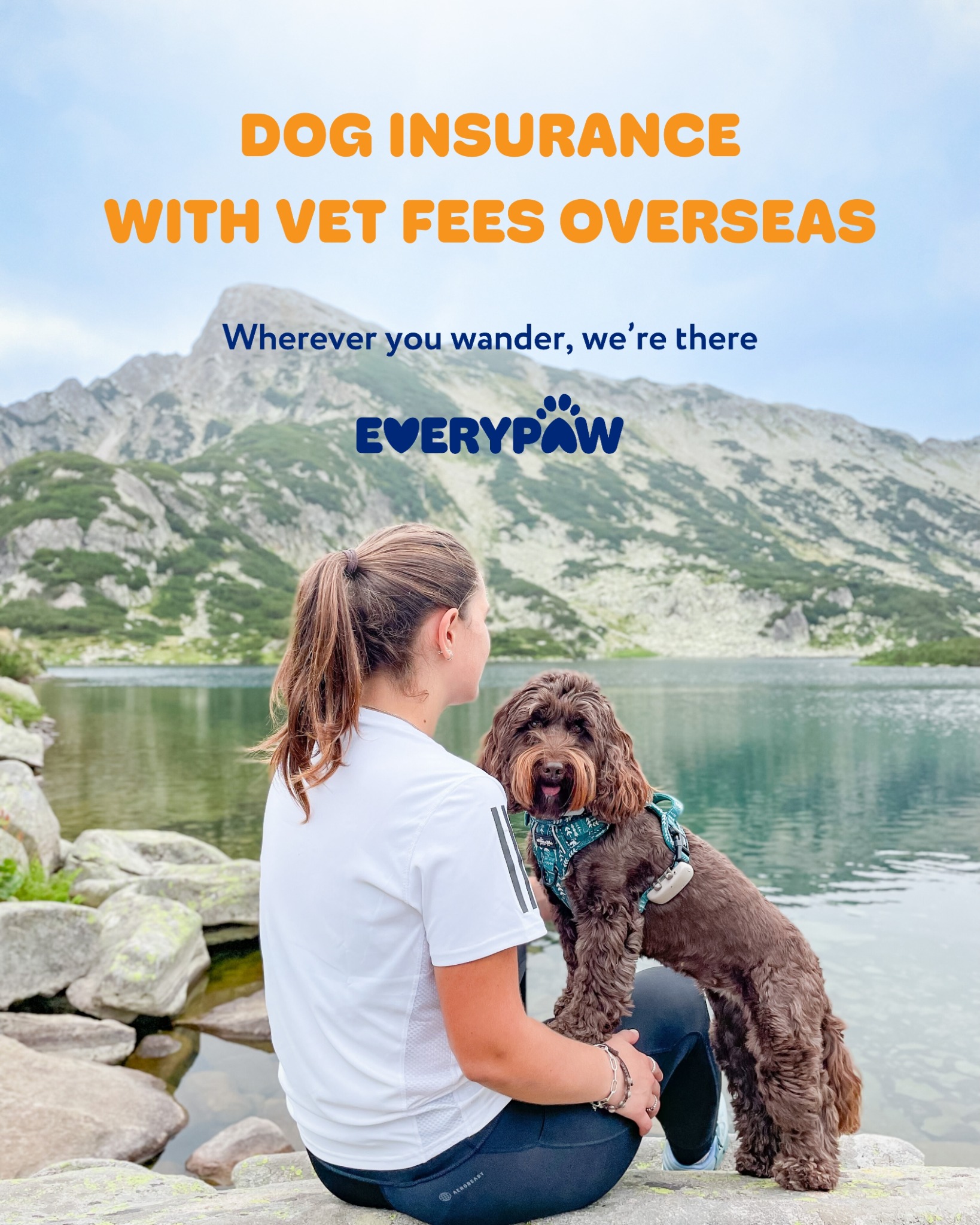 Everypaw Pet Insurance Facebook ad