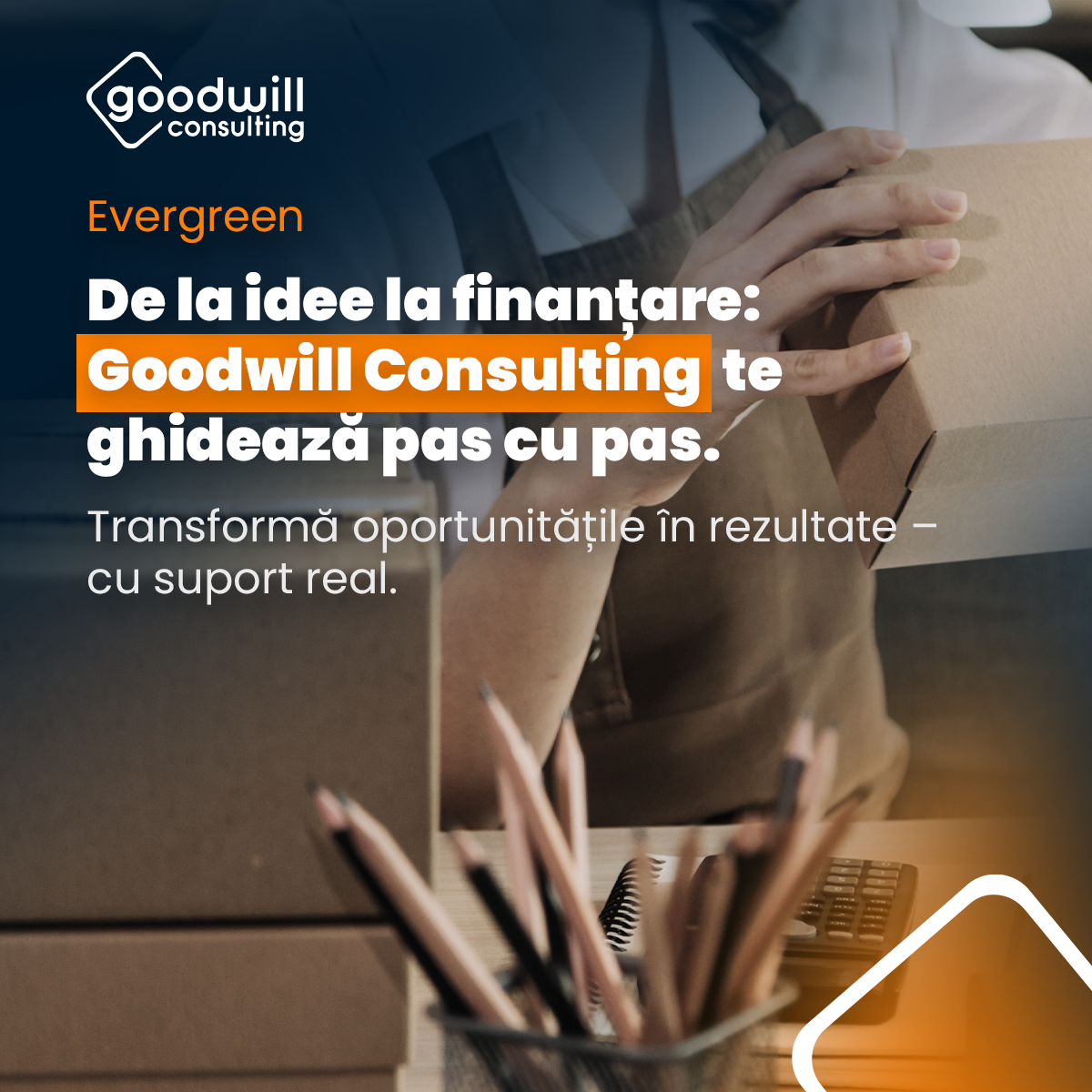 Goodwill Consulting Facebook ad