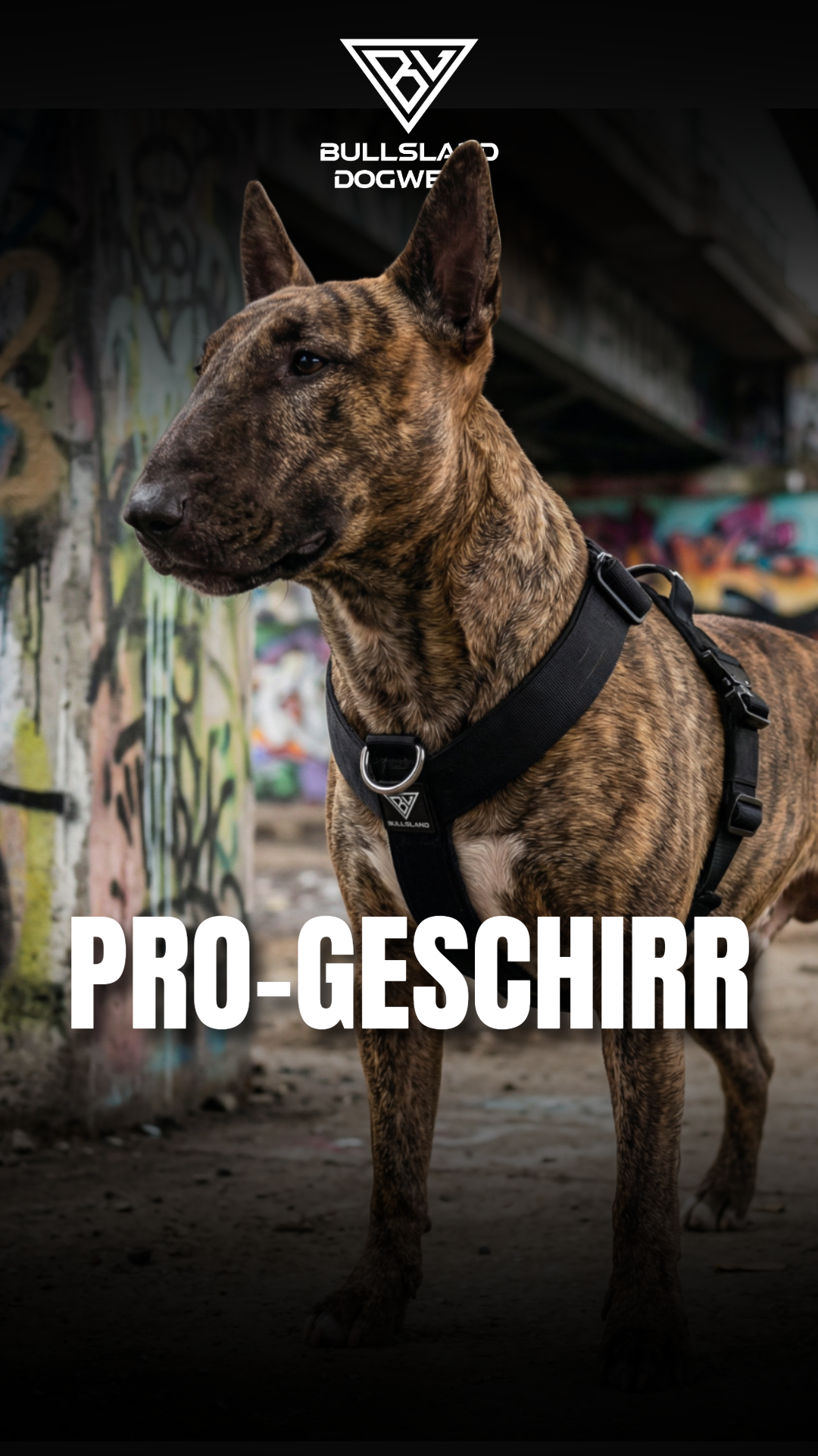 Bullsland Dogwear Facebook ad