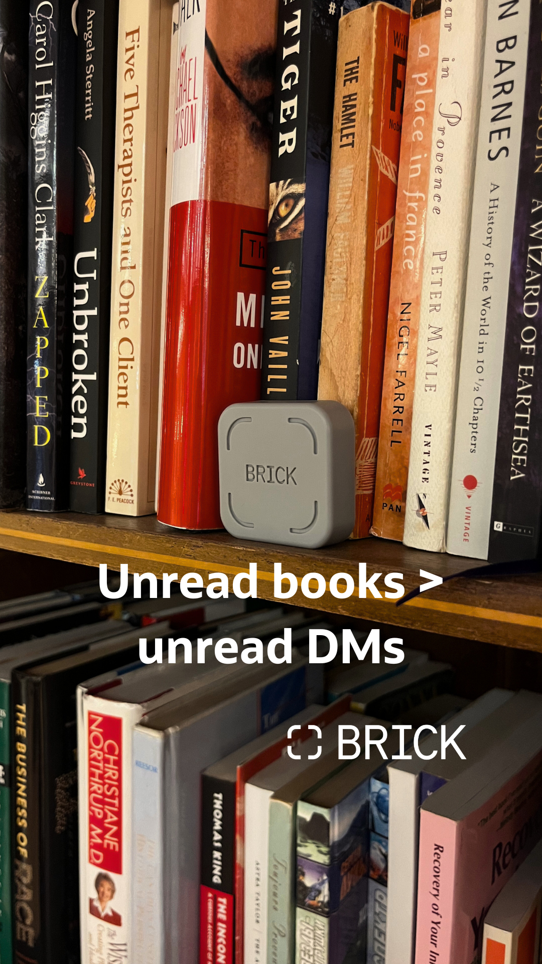 Brick - Take Back Your Time Facebook ad