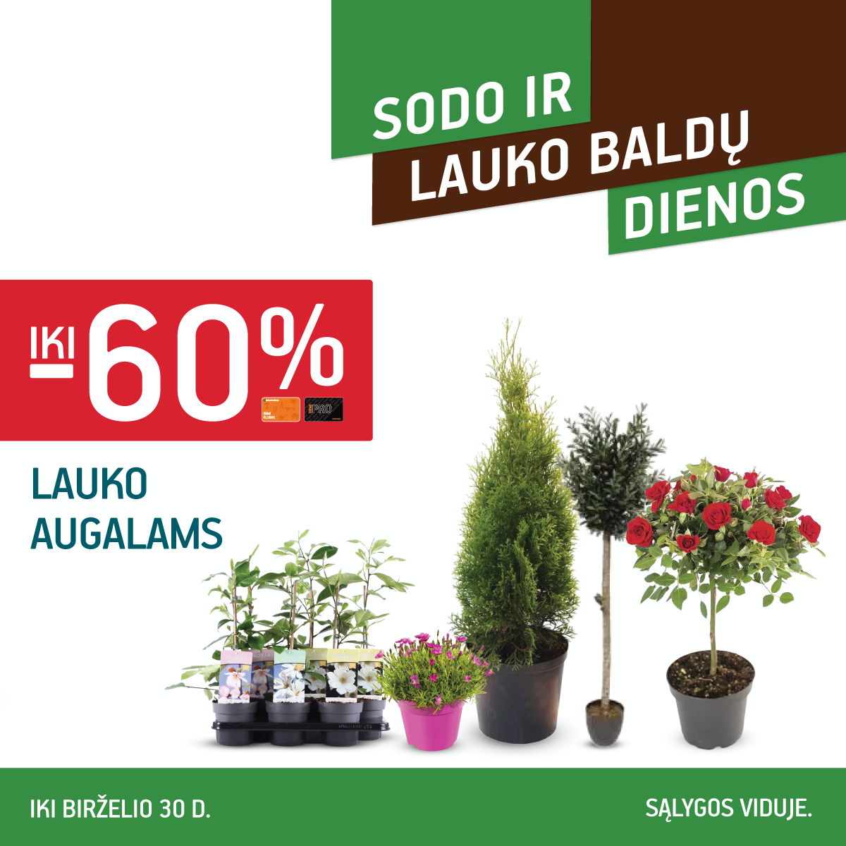 Ermitažas Facebook ad