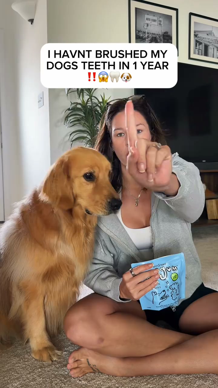Britt + Wince Facebook ad: Fresh Breath in 7 Days, 20% Off PupGum