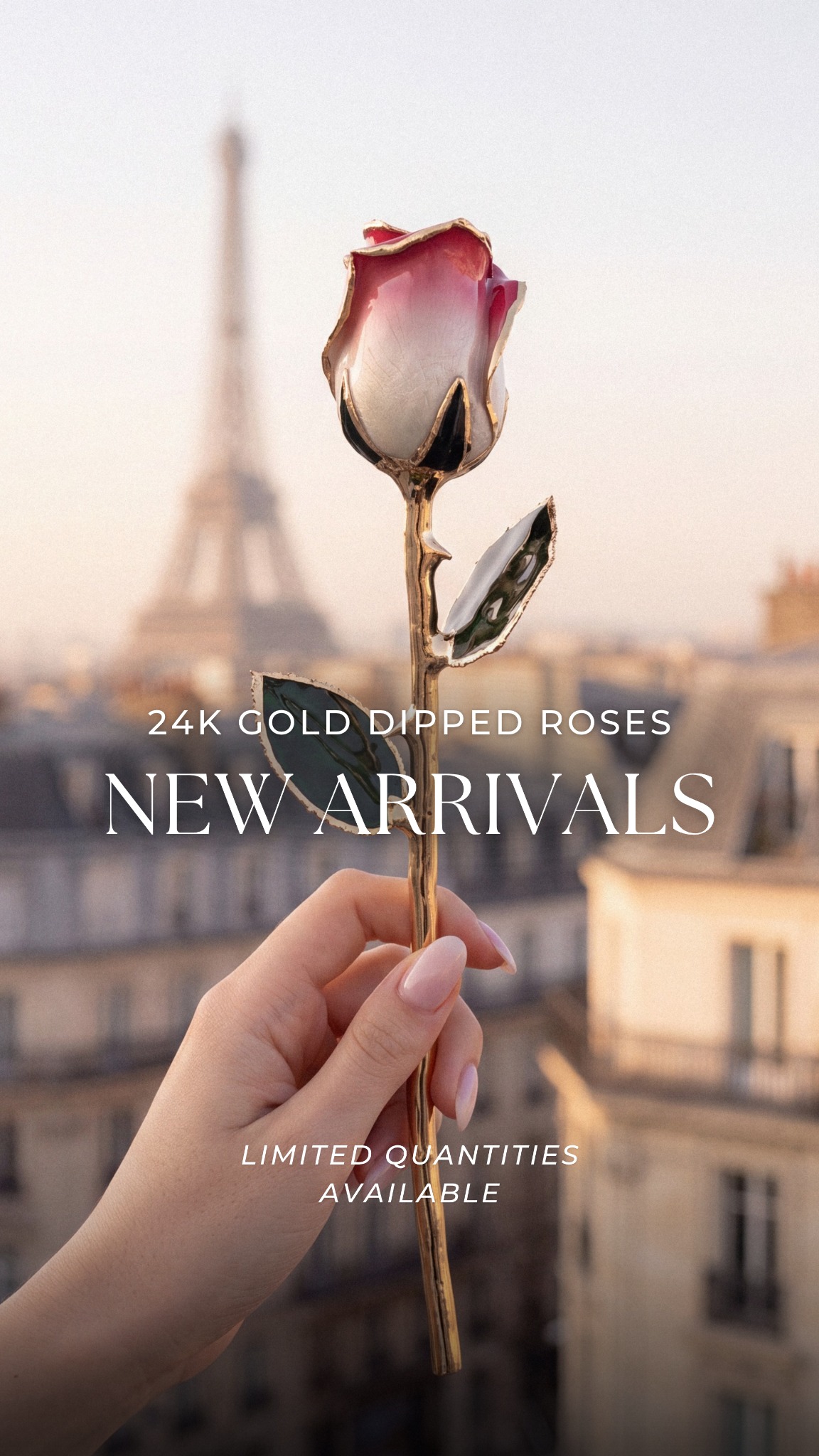 Selene & Amor Facebook ad: Discover Our Newest Eternal Roses