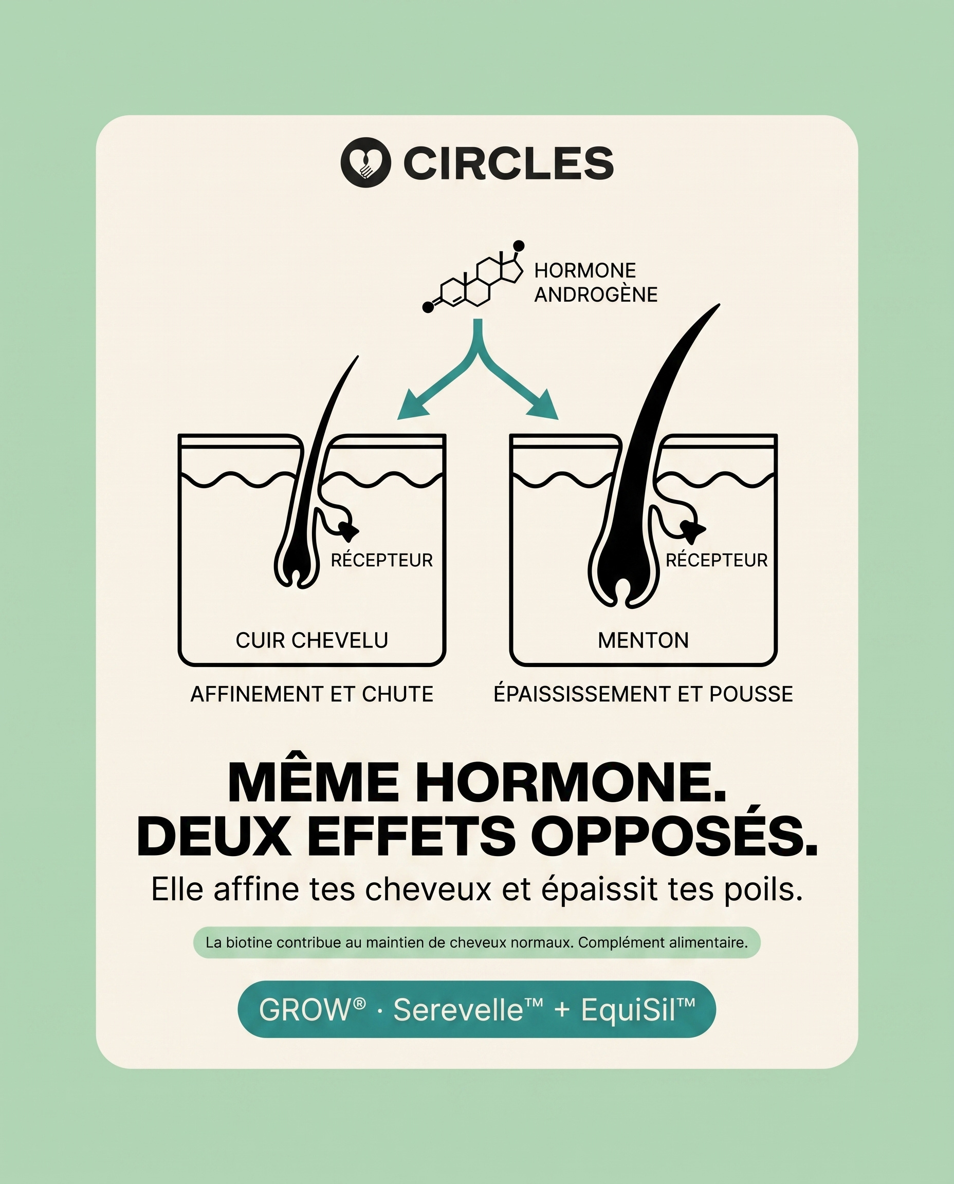 Circles Facebook ad