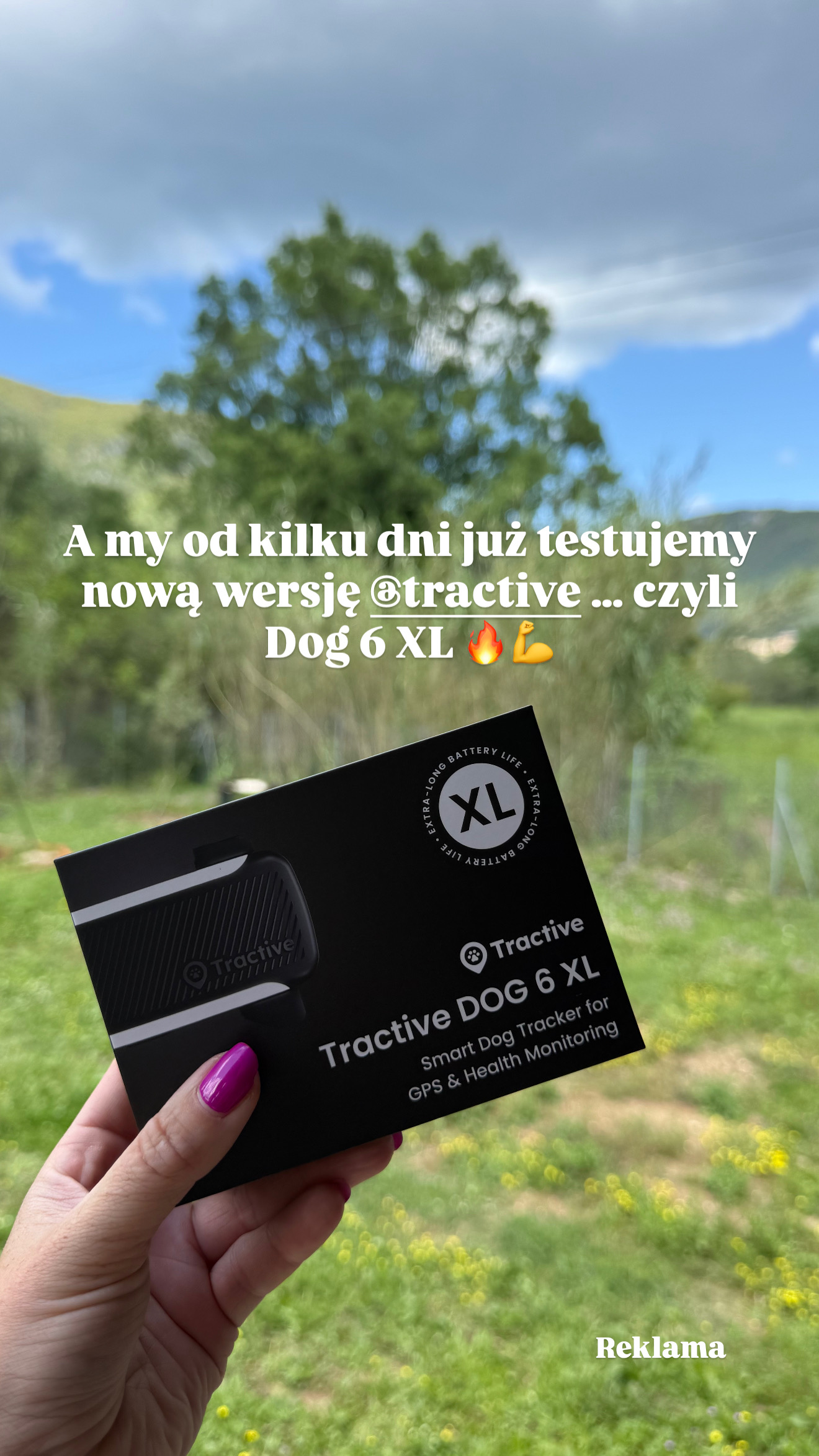 life_with_wolfdog Facebook ad