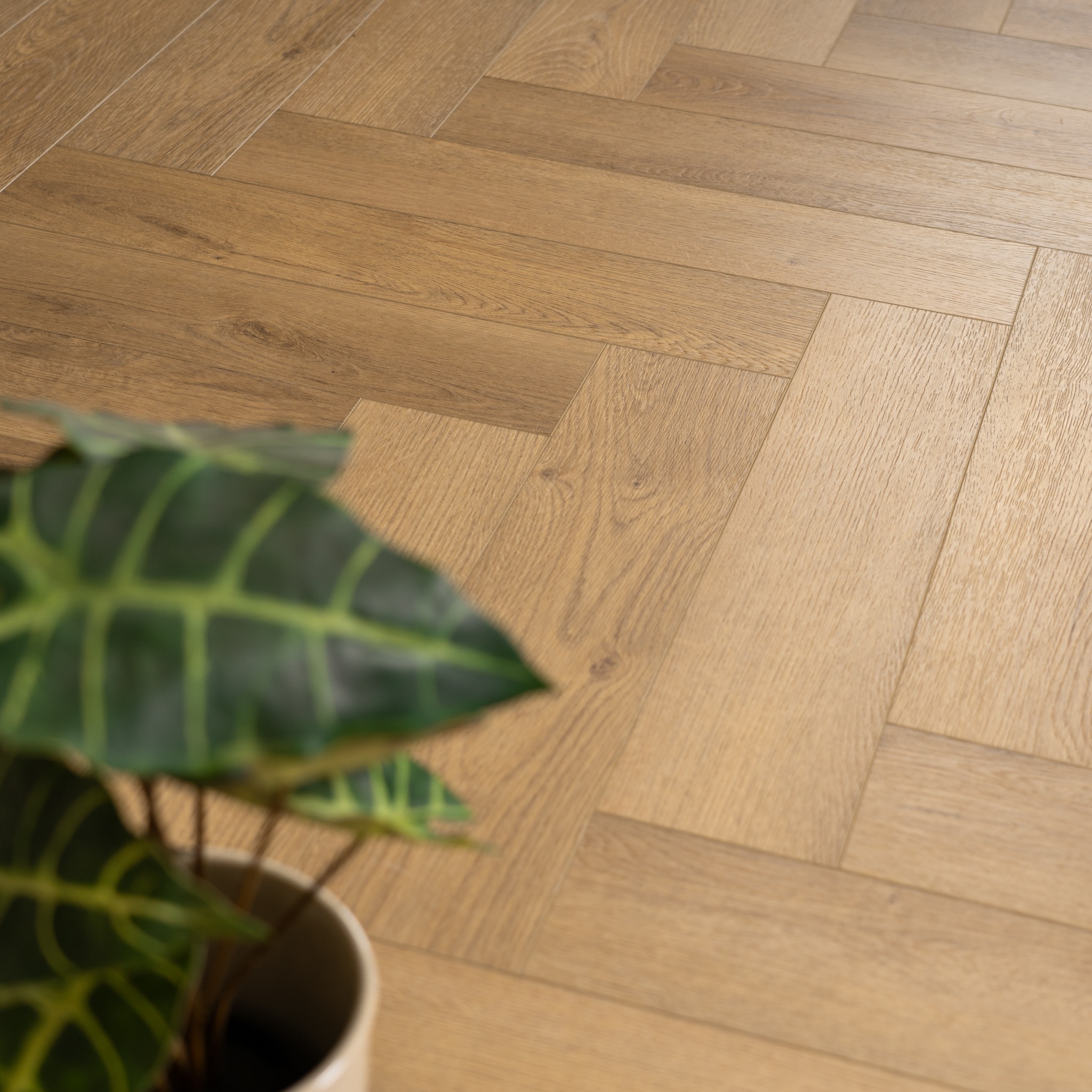 GAUCI Parchet Facebook ad: Parchet SPC Herringbone 6.5mm cu folie atașată și…