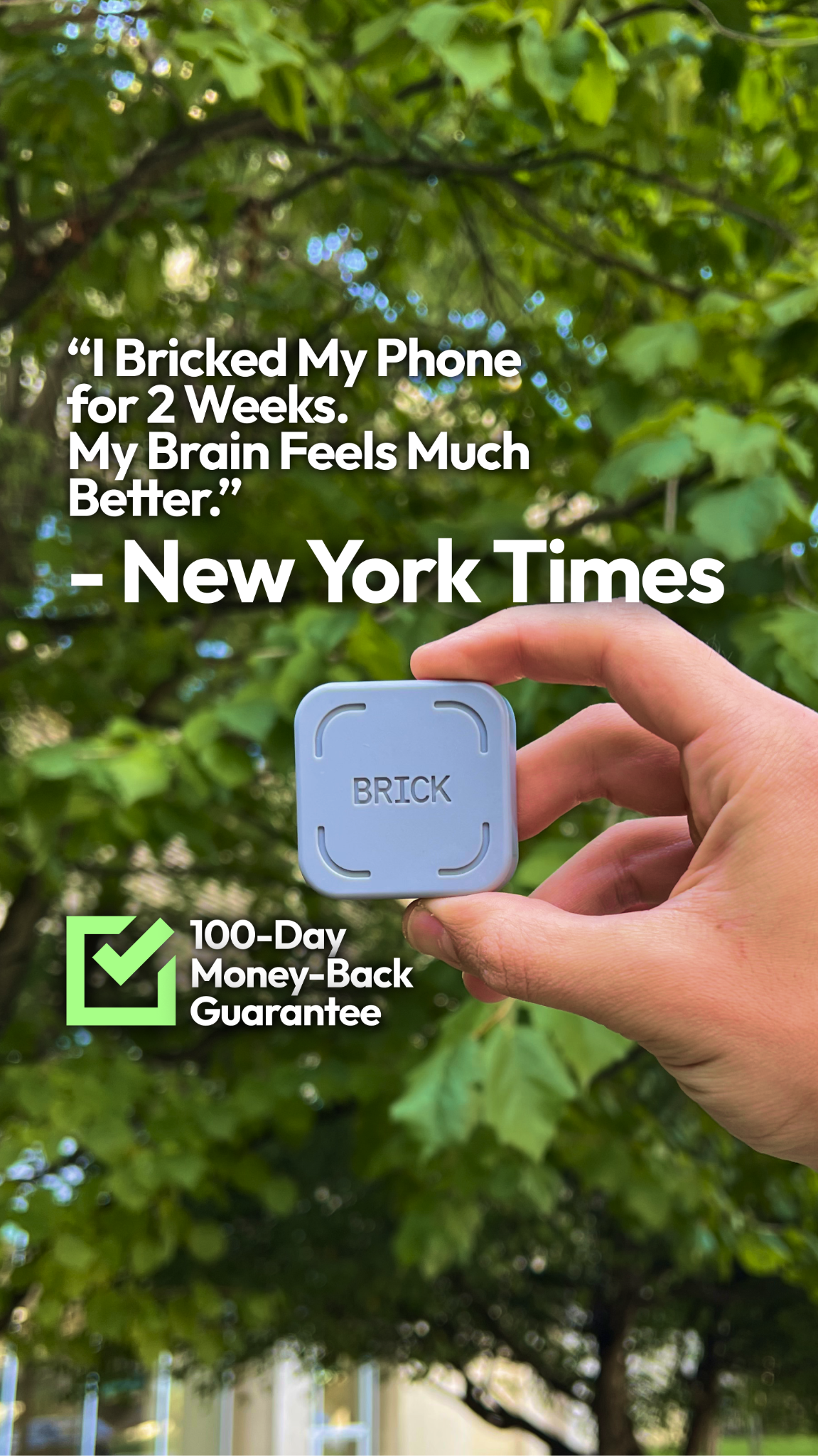 Brick - Take Back Your Time Facebook ad