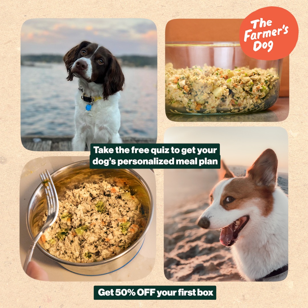 The Farmer's Dog Facebook ad