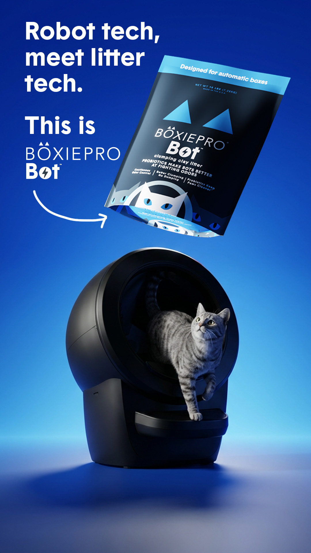 Boxiecat Facebook ad