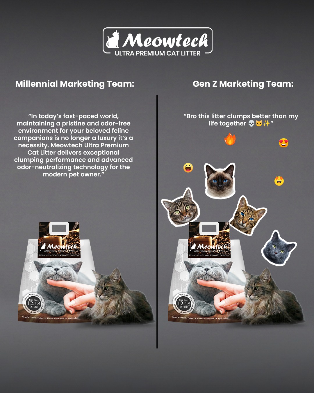 Meowtech Facebook ad