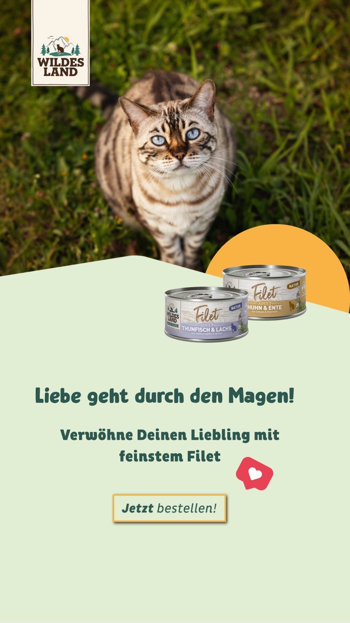 Wildes Land Facebook ad